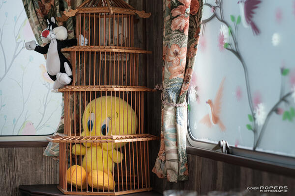 La Cabane au Fond du Jardin